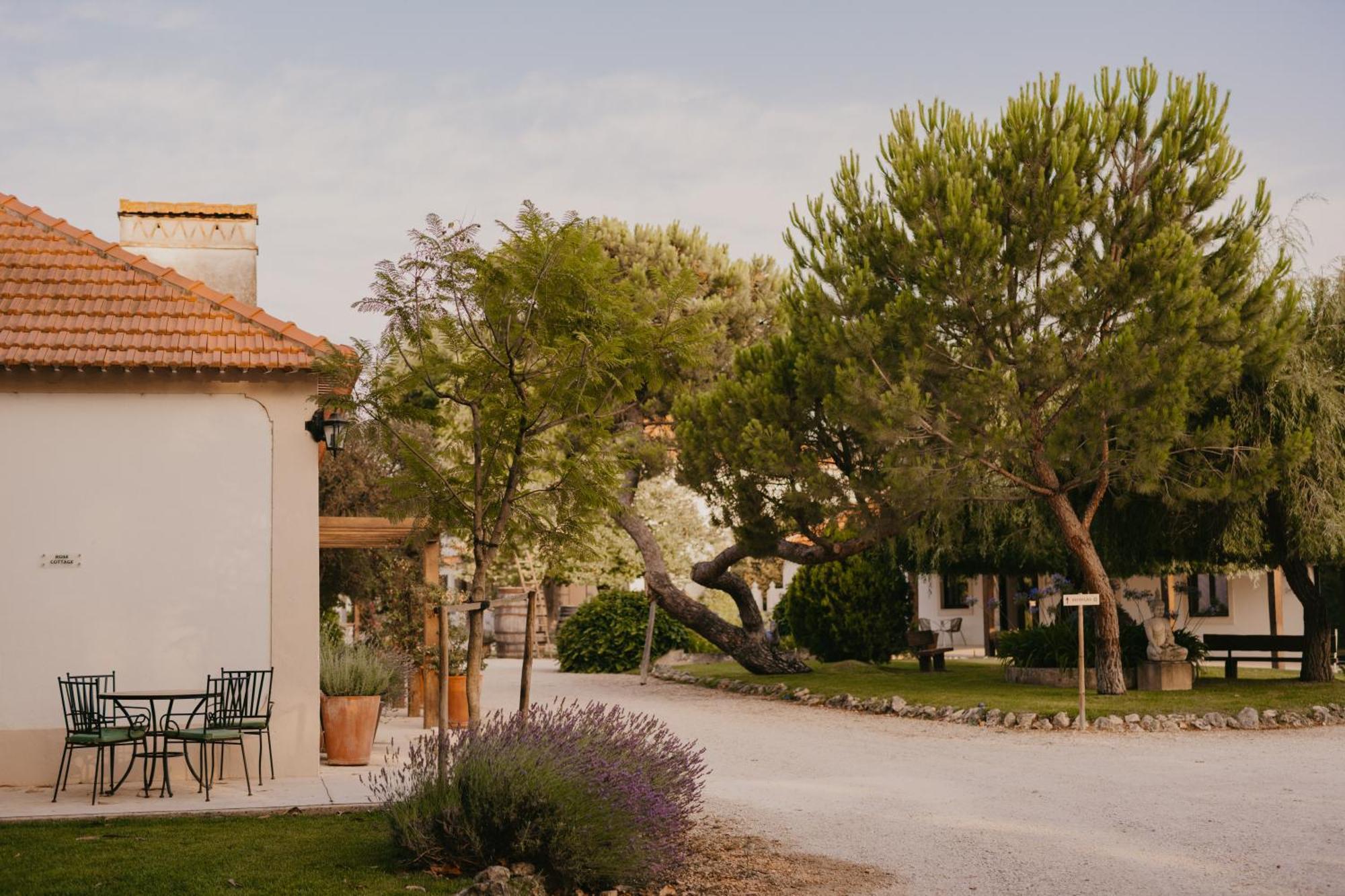 Quinta Carvalhas - The Green Farm Hotel Casevel Exterior foto